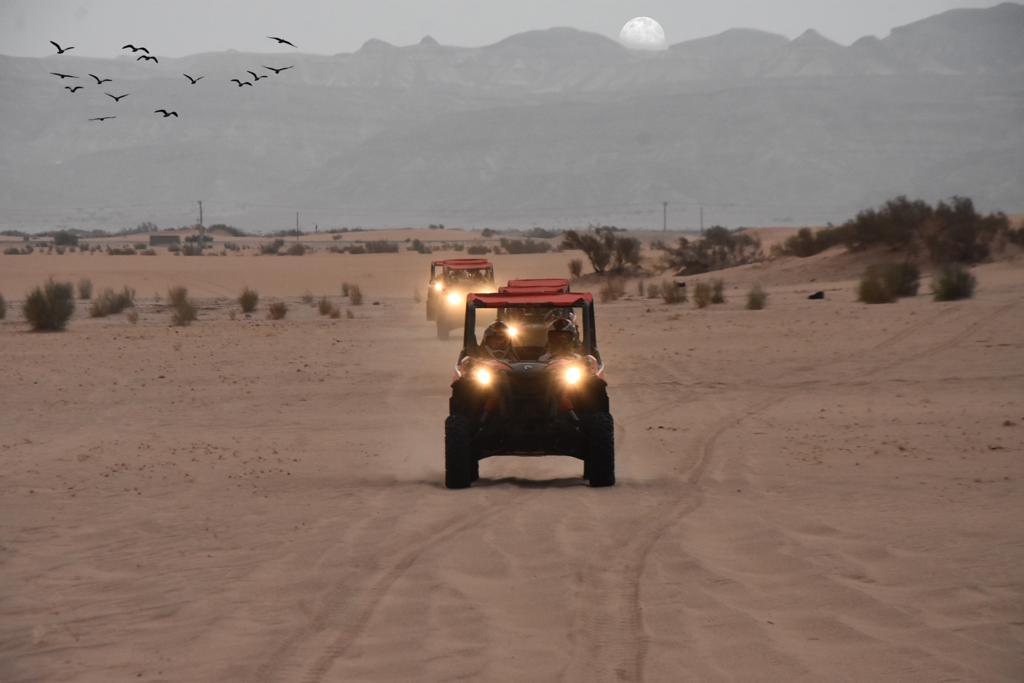 Buggy